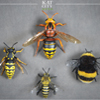 ZdjÄcie: zapylacze modele osa trzmiel pszczola szerszen.jpg